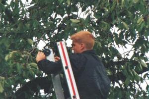 Chriesiläset 2001
