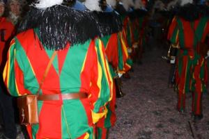 Fasnacht 2014