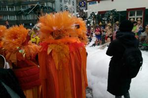 Fasnacht 2016