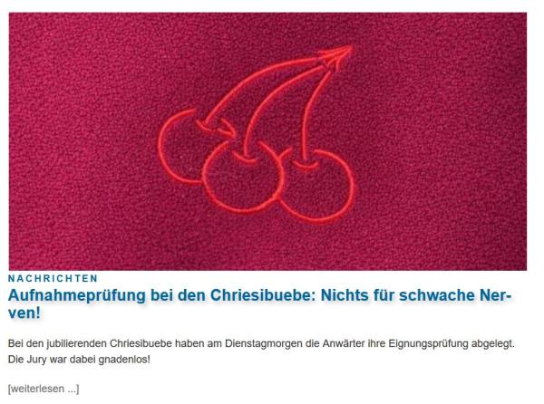 2026-02-25 12_10_12-fasnacht.ch 